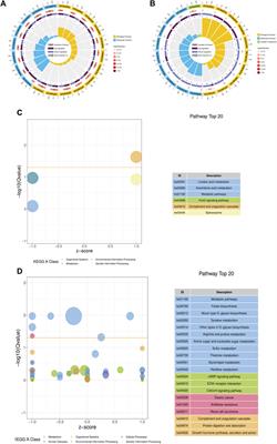 DNA Methylation Analyses Unveil a Regulatory Landscape in the Formation of Nacre Color in Pearl Oyster Pinctada fucata martensii